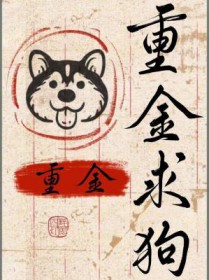 重金求子搞笑对话视频
